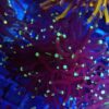Reverse Joker Torch Coral
